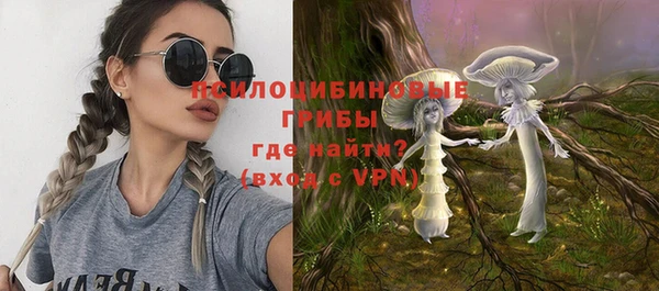 метадон Ладушкин