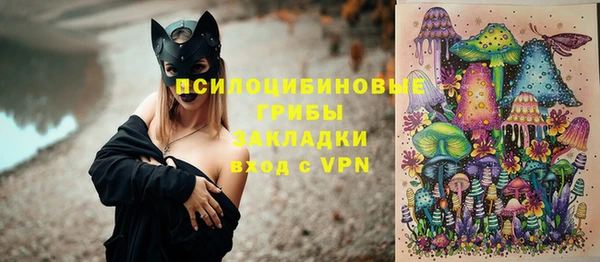 твердый Лабытнанги