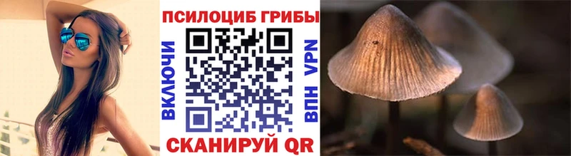Галлюциногенные грибы мухоморы  цены наркотик  mega как войти  Яранск 